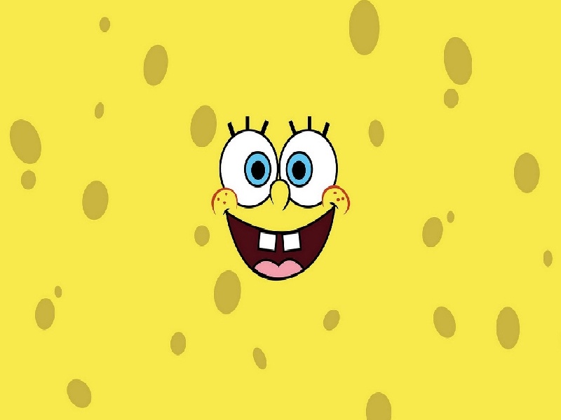 李先生夫妇成功案例