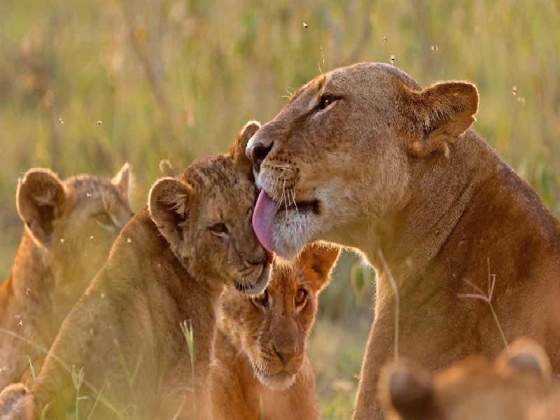 刘女士成功案例